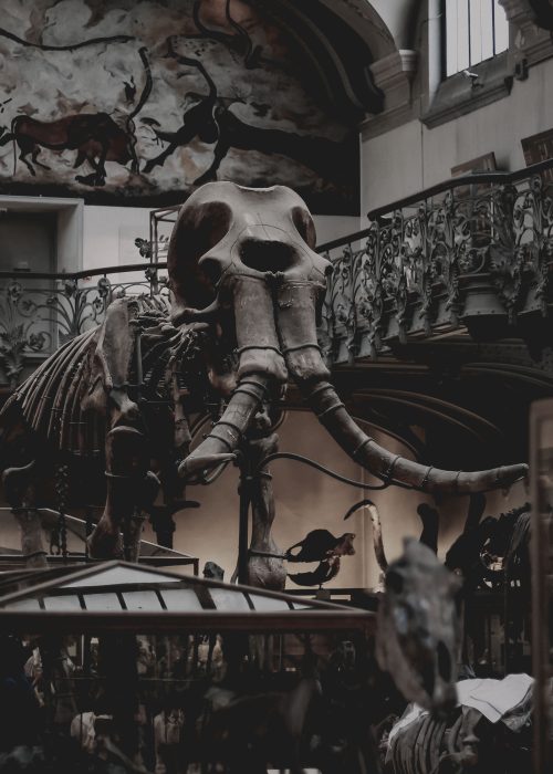 tristan-colangelo-WKFxRhgAKOI-unsplash-img.jpg tristan-colangelo-WKFxRhgAKOI-unsplash-img.jpg